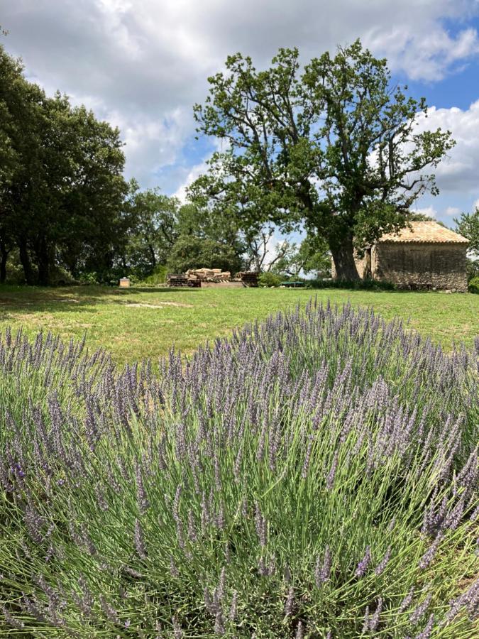 فيلا La Bastide Des Roman Vernegues المظهر الخارجي الصورة